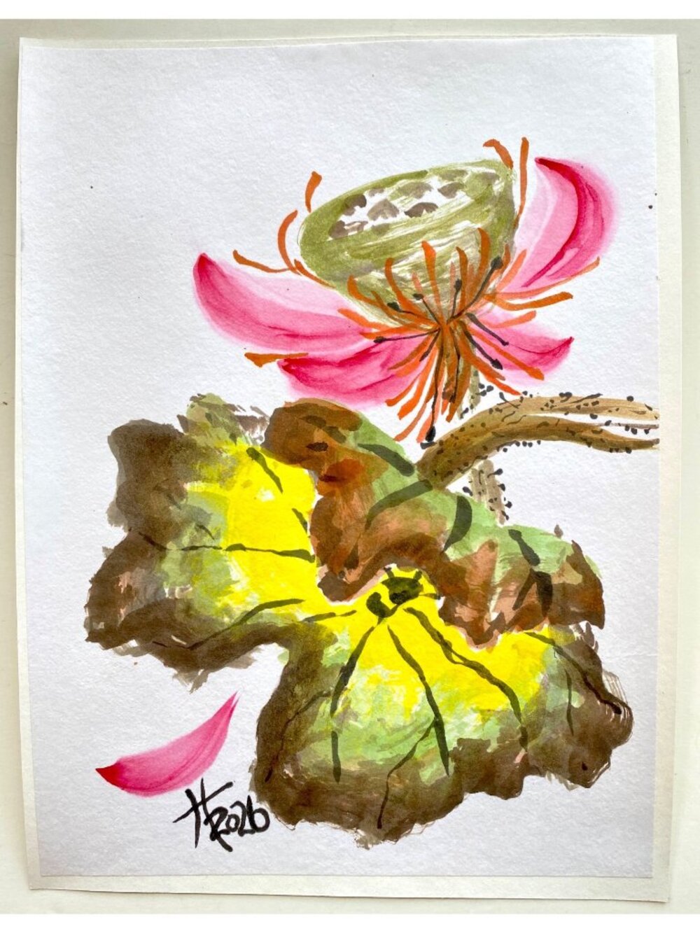 Waning Lotus2 Original Art Asian Style Watercolor Floral Painting 11x14in Matted